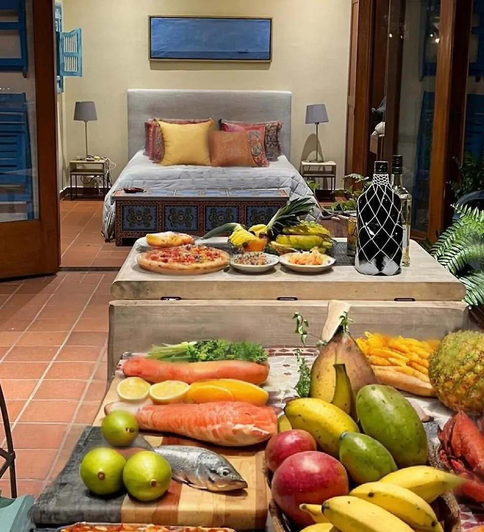 Unique Two-Level Penthouse In The Historical Area Lägenhet Santo Domingo